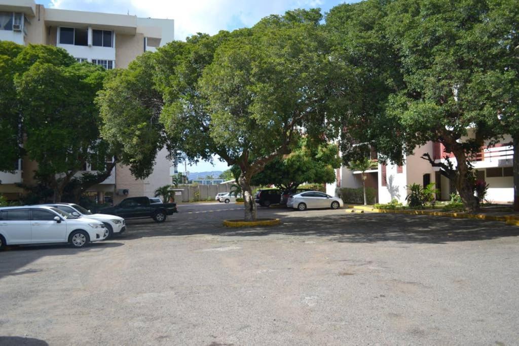The Mango Apartment